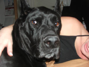 oscarandmyla027.jpg